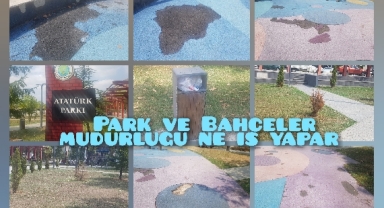 Park ve Bahçeler Müdürlüğü ne iş yapar?