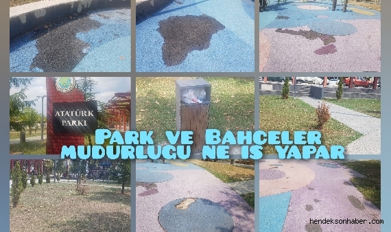 Park ve Bahçeler Müdürlüğü ne iş yapar?