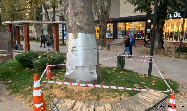 ASIRLIK ÇINAR AĞACININ YARALARI SARILDI 