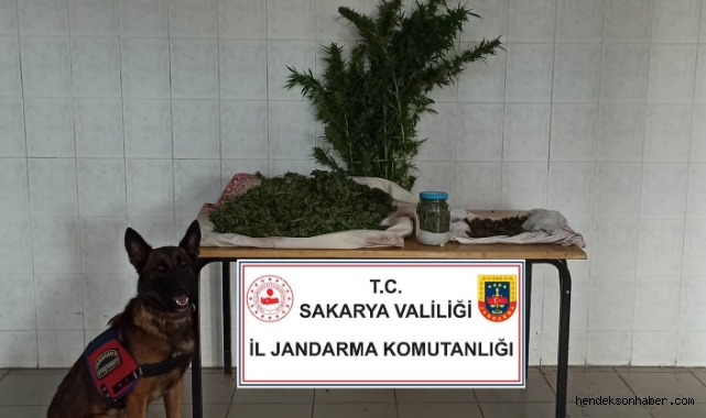 Hendek'te Jandarma11 kilogram esrar ele geçirildi: 1 gözaltı