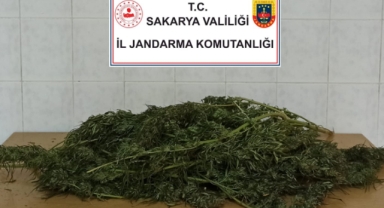 Hendek'te Jandarmadan operasyon