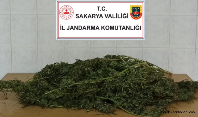 Hendek'te Jandarmadan operasyon