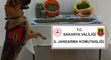 Hendek'te Jandarmadan Operasyon 8 Buçuk Kilo Esrar Yakalandı