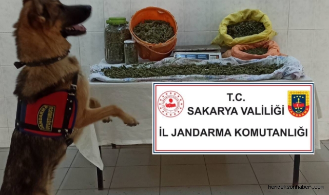 Hendek'te Jandarmadan Operasyon 8 Buçuk Kilo Esrar Yakalandı