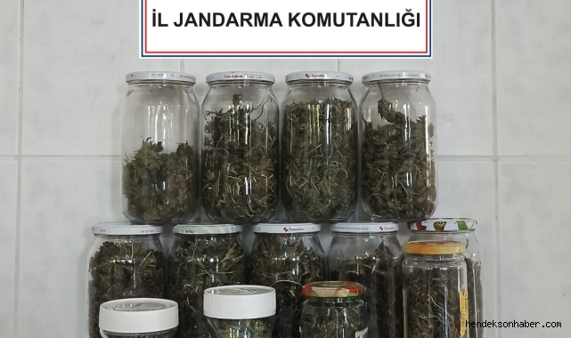 Hendek Jandarmadan Uyuşturucu Operasyon 1 Gözaltı
