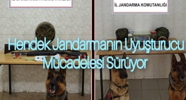Hendek Jandarmanın uyuşturucu mücadelesi sürüyor