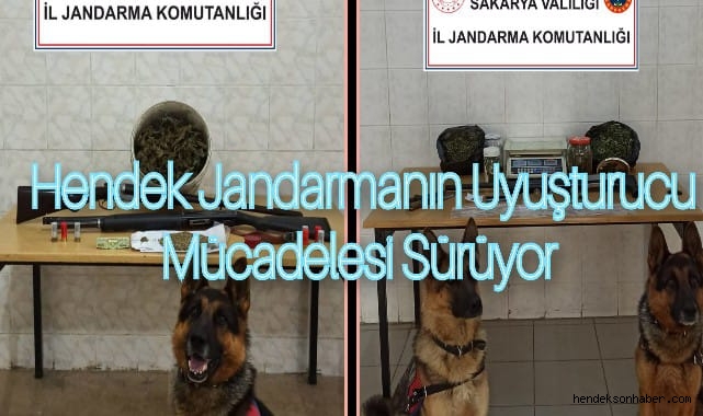 Hendek Jandarmanın uyuşturucu mücadelesi sürüyor