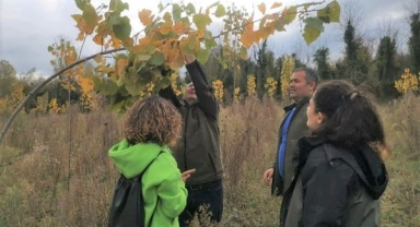 Hendek Kavak Fidanı Dikim Sahalarını İnceledi ​