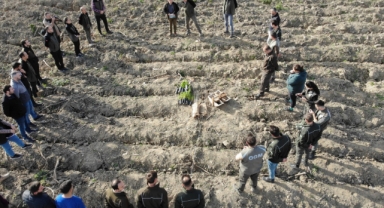 Hendek'te Fidan Dikimi İşbaşı Eğitimi Yapıldı ​