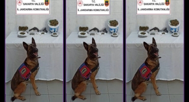 Hendek'te Uyuşturucuya Geçit Yok 2 gözaltı