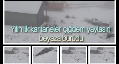 Yılın İlk Kar Taneleri Çiğdem Yaylasını Beyaza Bürüdü