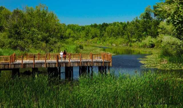 Sakarya Büyükşehir 4 yılda 14 milyon yolcuyu misafir etti