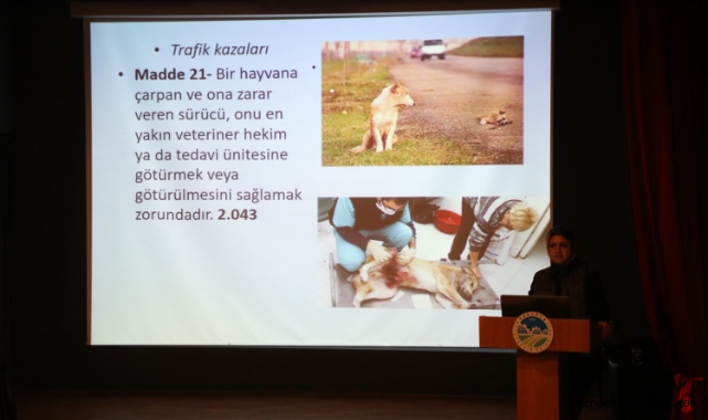 Sakarya Büyükşehir’den sokak hayvanları için önemli eğitim