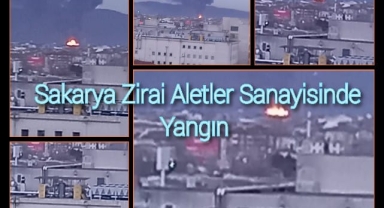 Sakarya'da Yangın Dumanlar Şehrin Her Yerinden Göründü