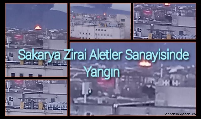 Sakarya'da Yangın Dumanlar Şehrin Her Yerinden Göründü