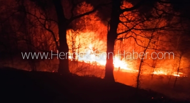 Hendek’ Güney Mahallesinde Alevli Gece 