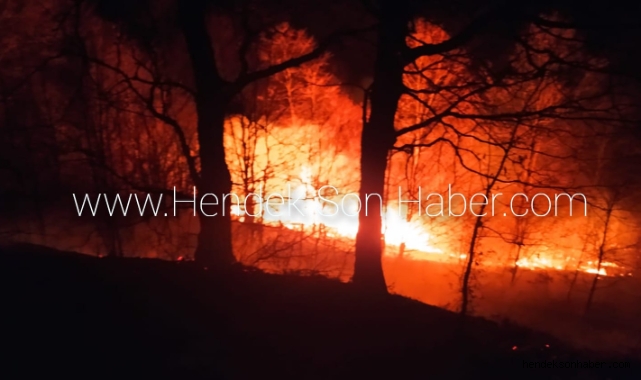 Hendek’ Güney Mahallesinde Alevli Gece 