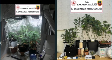 Hendek Jandarmadan uyuşturucu operasyonu: 1 gözaltı