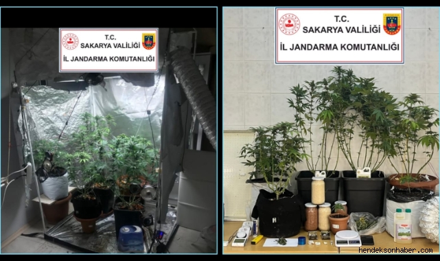 Hendek Jandarmadan uyuşturucu operasyonu: 1 gözaltı