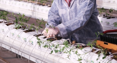 Sakarya Büyükşehir serada 2023’e ‘bismillah’ dedi: “Hedefimiz üretim rekoru kırmak”