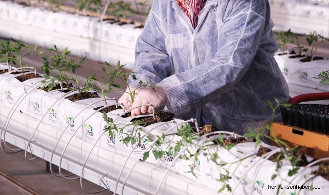 Sakarya Büyükşehir serada 2023’e ‘bismillah’ dedi: “Hedefimiz üretim rekoru kırmak”