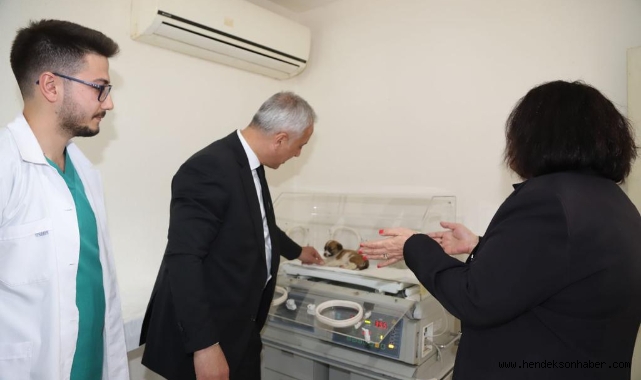 BARINAĞA YOĞUN BAKIM ÜNİTESİ KAZANDIRILDI