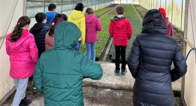 Hendek Fidanlık Şefliği'ne Ziyaret