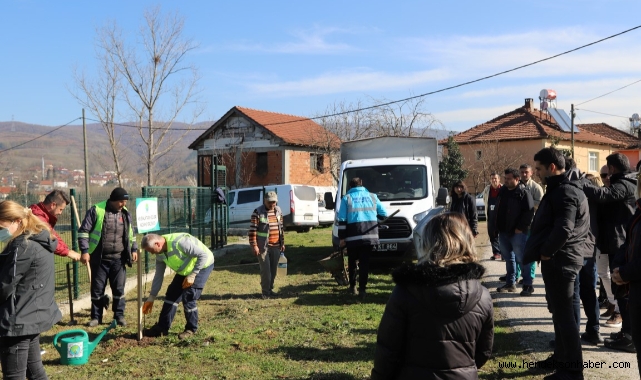 HENDEK KAZIMİYE’DE TARIM İŞÇİLERİ YERLEŞKESİ AĞAÇLANDIRILDI