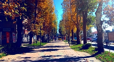 Hendek'te Bahar Havası