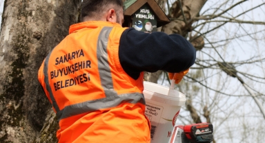Sakarya Büyükşehir’in kuş yemlikleri yürekleri ısıttı 