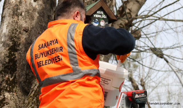 Sakarya Büyükşehir’in kuş yemlikleri yürekleri ısıttı 
