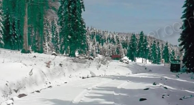 Fotoğraflar Bugun Çekildi Burası Dırım Dırım Yaylası