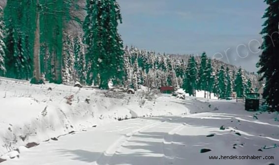 Fotoğraflar Bugun Çekildi Burası Dırım Dırım Yaylası