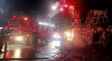 HENDEK BAŞPINAR MAHALLESİNDE ALEVLER GECEYİ AYDINLATTI