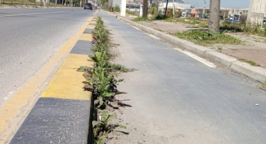 Bisiklet yolları yaza hazırlanıyor