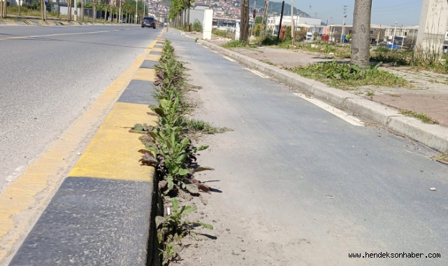Bisiklet yolları yaza hazırlanıyor