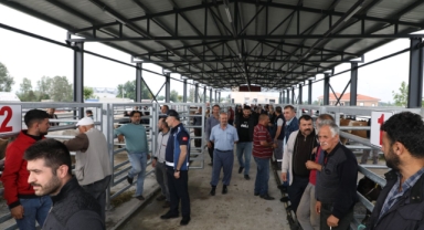 Akyazı Belediyesi Canlı Hayvan Borsası’na yoğun ilgi 