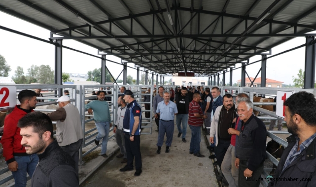 Akyazı Belediyesi Canlı Hayvan Borsası’na yoğun ilgi 