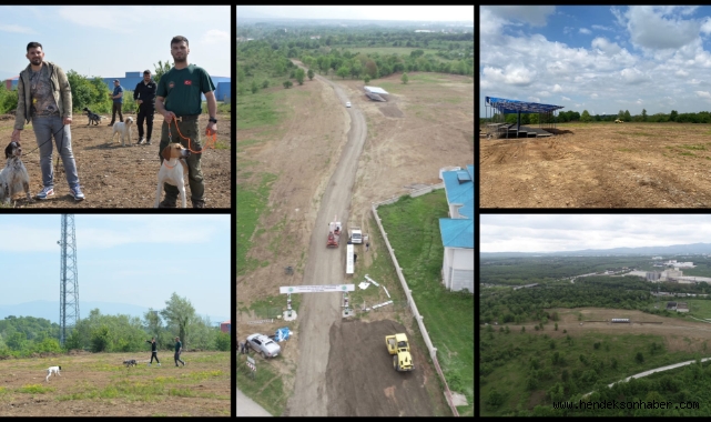 HENDEK 13. FERMALI AV KÖPEKLERİ MERA VE GÜZELLİK YARIŞMASI BAŞLIYOR