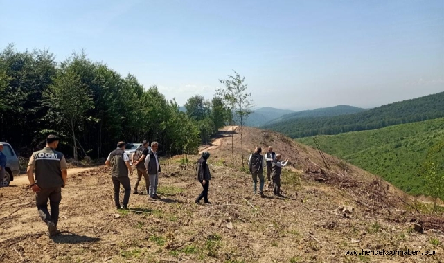 Hendek Kayın Gençleştirme Sahaları İncelendi