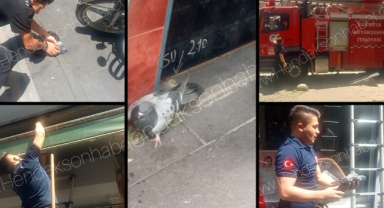 Hendek’te Sıkışan Güvercini İtfaiye Kurtardı