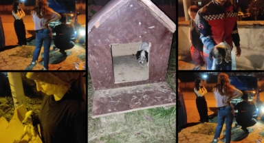 Tampona Sıkışan Can Dostunu İtfaiye Kurtardı