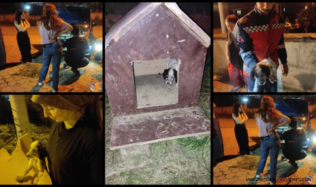 Tampona Sıkışan Can Dostunu İtfaiye Kurtardı