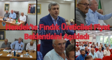 Hendek'te Fındık Üreticileri Fiyat Beklentisini Açıkladı