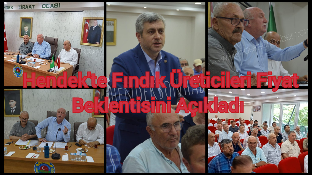 Hendek'te Fındık Üreticileri Fiyat Beklentisini Açıkladı
