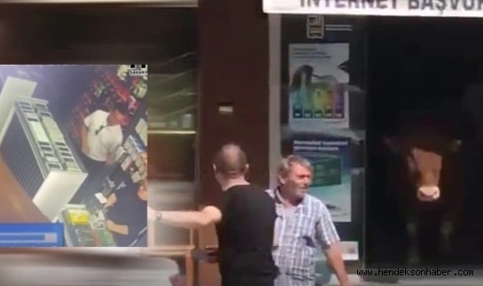 Kaçan Tosun Hendek İlçe Merkezini Birbirine Kattı! 