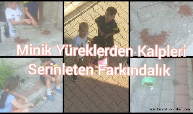MİNİK YÜREKLERDEN KALPLERİ SERINLETEN FARKINDALIK