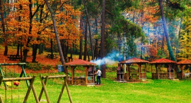 Üniversite gençliğinin ilk tercihi yeşil cennet Sakarya