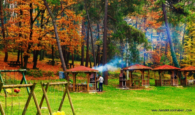 Üniversite gençliğinin ilk tercihi yeşil cennet Sakarya