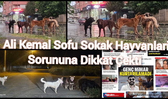 Ali Kemal Sofu; Sokak Hayvanları Sorununa dikkat çekti